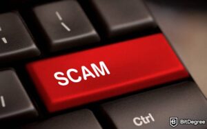 Read more about the article Solidus Labs Says It Detected 15 Newly Opened Scams An Hour