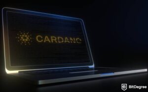 Read more about the article Cardano to Roll Out Algorithmic Stablecoin, Djed, in 2023