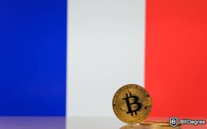 Read more about the article France Passes Strict Licensing Rules for New Crypto Firms
