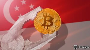 Read more about the article Singaporean Females Earn More Crypto Profits than Males