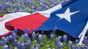 Read more about the article Texas Gives a Green Light to “Proof of Reserve” Bill