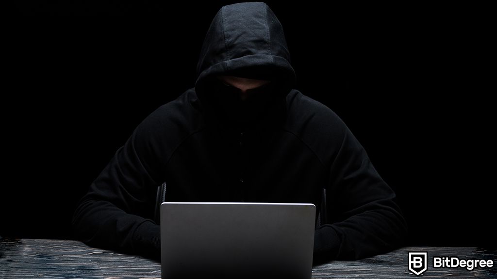 You are currently viewing In May, Rug Pulls Did More Damage than DeFi Exploits