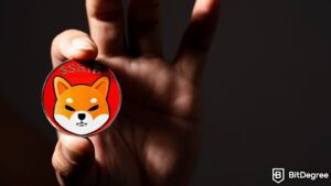 Read more about the article Shiba Inu Devs Unveil Shibacals, Merging NFTs with Tangibles