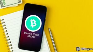 Read more about the article South Korean Trade Boosts Bitcoin Cash Over $300 Mark