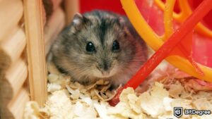 Read more about the article Crypto Betting Finds a New Playground in Hamster Racing