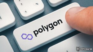 Read more about the article Palm Network to Deploy on Polygon’s Supernet by 2024