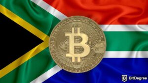 Read more about the article Crypto Exchanges in South Africa Face Licensing Deadline