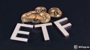 Read more about the article Valkyrie Spot Bitcoin ETF Comes Under SEC’s Review