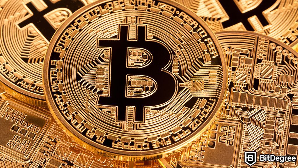 You are currently viewing BTC Price Rally Triggers Huge Outflows from Crypto Exchanges