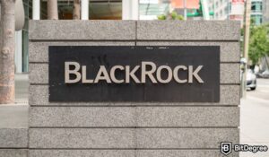 Read more about the article BlackRock Initiates Legal Action Against Imitator Websites