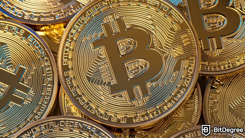 You are currently viewing Shanghai Court Classifies Bitcoin as Legal Digital Currency