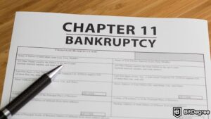 Read more about the article Terraform Labs Seeks Chapter 11 Bankruptcy Protection